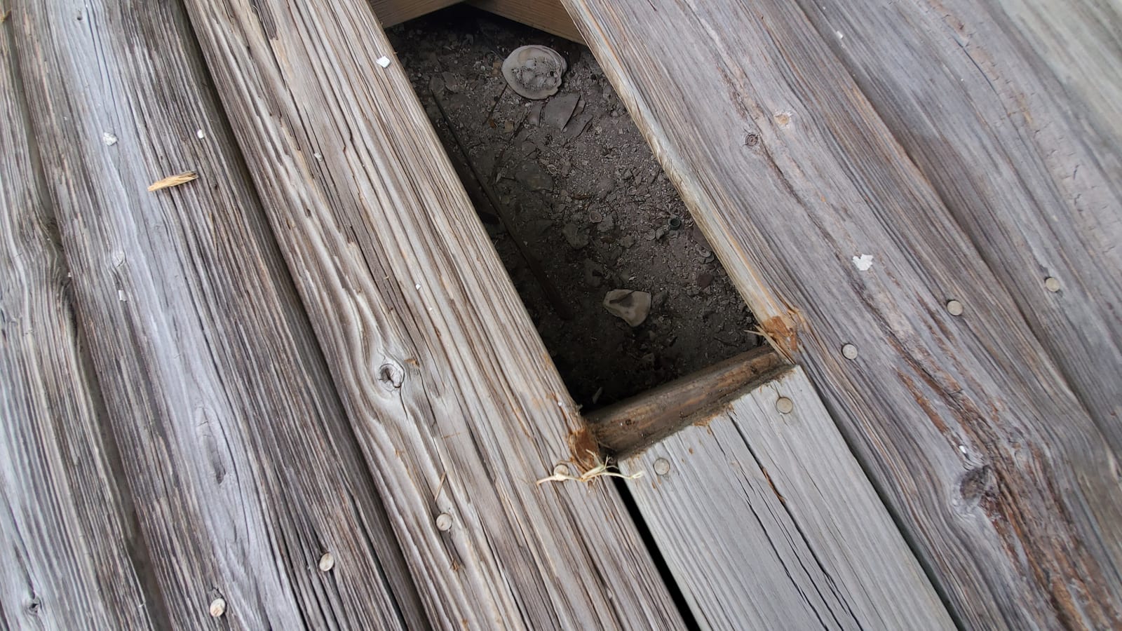 Rotted deck board with an exposed hole — the coastal-Pinellas repair scope we handle